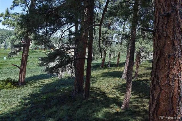 000 6th Street Guffey, CO 80820