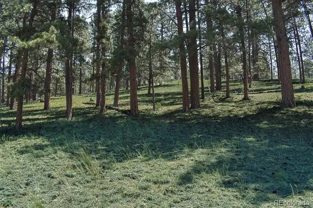 000 6th Street Guffey, CO 80820
