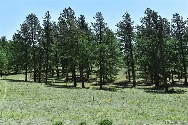 000 6th Street Guffey, CO 80820