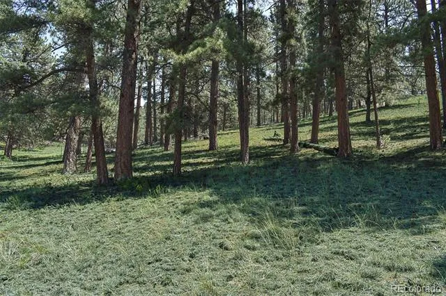 000 6th Street Guffey, CO 80820