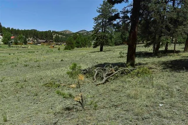 000 6th Street Guffey, CO 80820