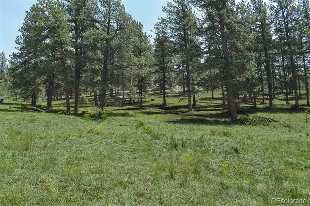 000 6th Street Guffey, CO 80820