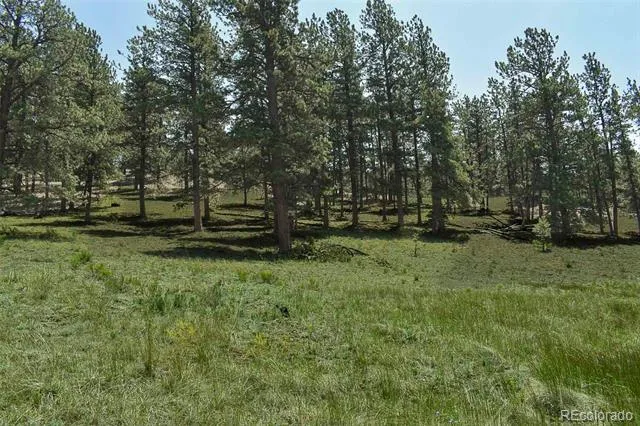 000 6th Street Guffey, CO 80820