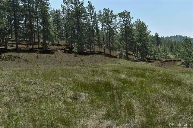 000 6th Street Guffey, CO 80820