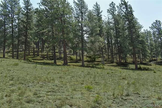 000 6th Street Guffey, CO 80820