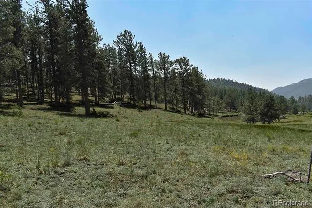 000 6th Street Guffey, CO 80820