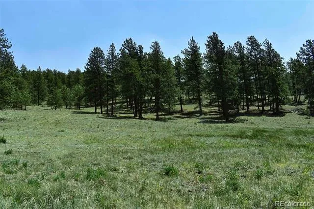 000 6th Street Guffey, CO 80820