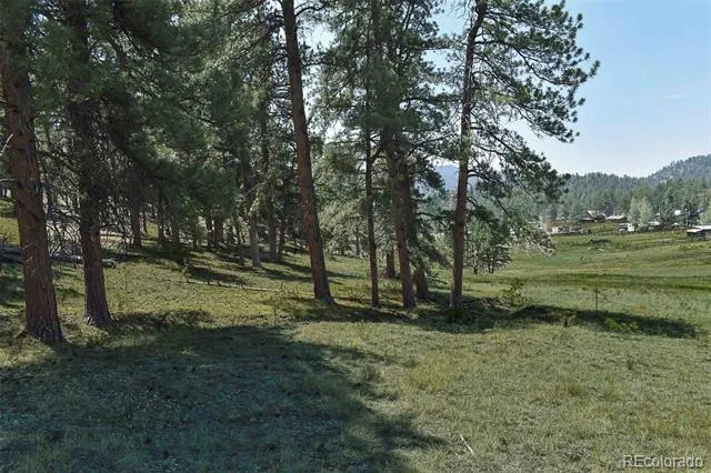 000 6th Street Guffey, CO 80820