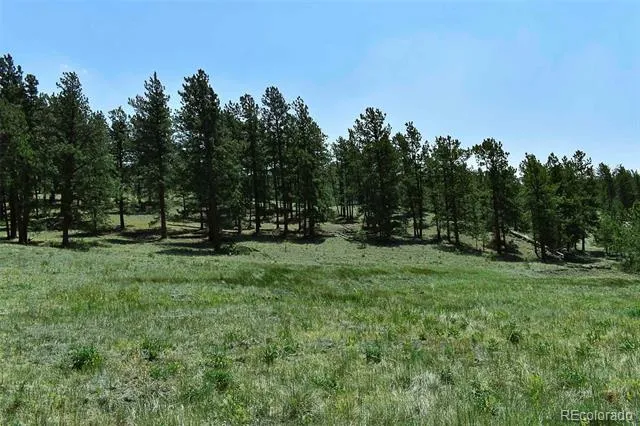 000 6th Street Guffey, CO 80820
