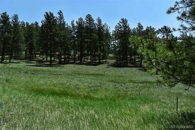 000 6th Street Guffey, CO 80820