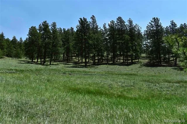 000 6th Street Guffey, CO 80820