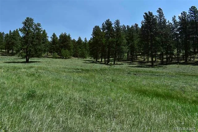 000 6th Street Guffey, CO 80820