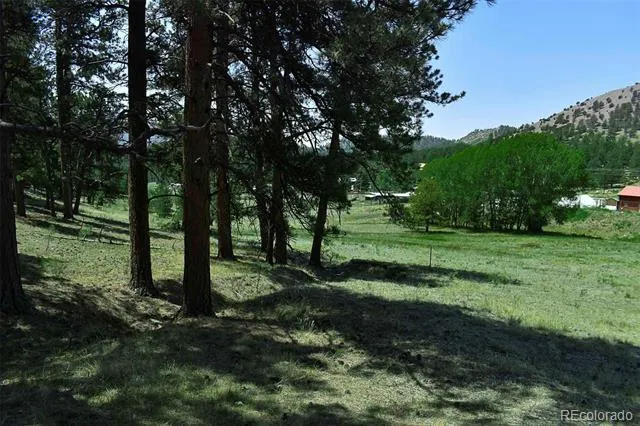 000 6th Street Guffey, CO 80820