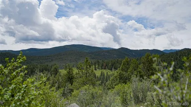 Address Not Shown Evergreen, CO 80439