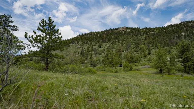 Address Not Shown Evergreen, CO 80439