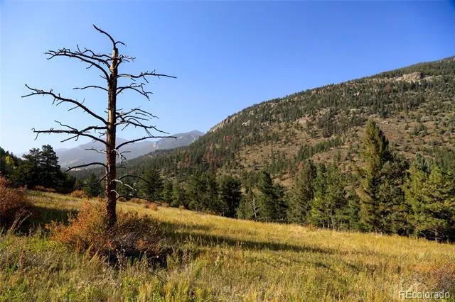 Address Not Shown Evergreen, CO 80439