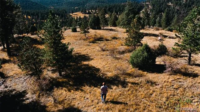 Address Not Shown Evergreen, CO 80439