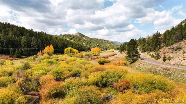 Address Not Shown Evergreen, CO 80439