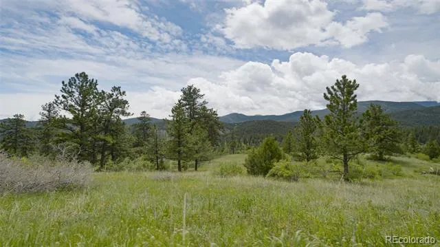 Address Not Shown Evergreen, CO 80439
