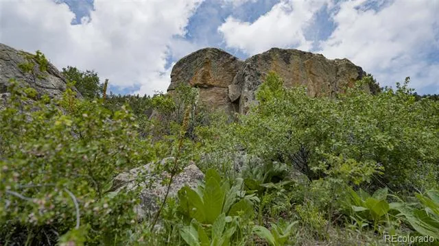 Address Not Shown Evergreen, CO 80439