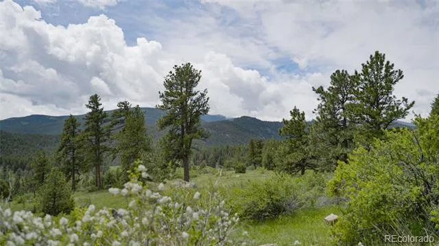 Address Not Shown Evergreen, CO 80439