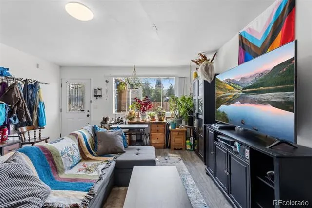 101 S Maple Street Leadville, CO 80461