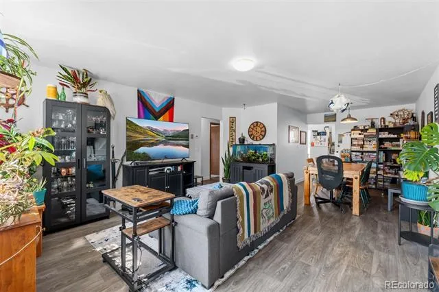 101 S Maple Street Leadville, CO 80461