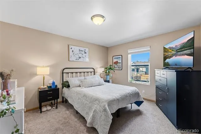 101 S Maple Street Leadville, CO 80461