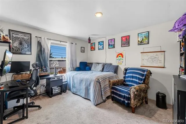 101 S Maple Street Leadville, CO 80461
