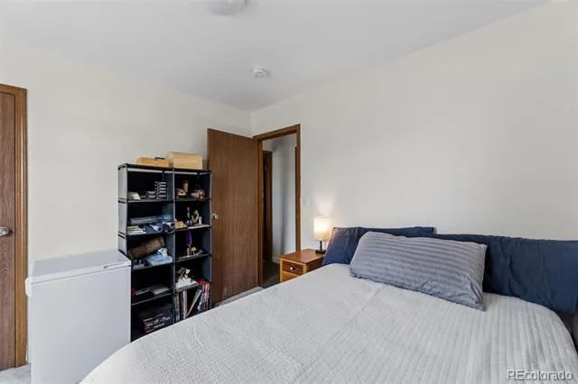101 S Maple Street Leadville, CO 80461