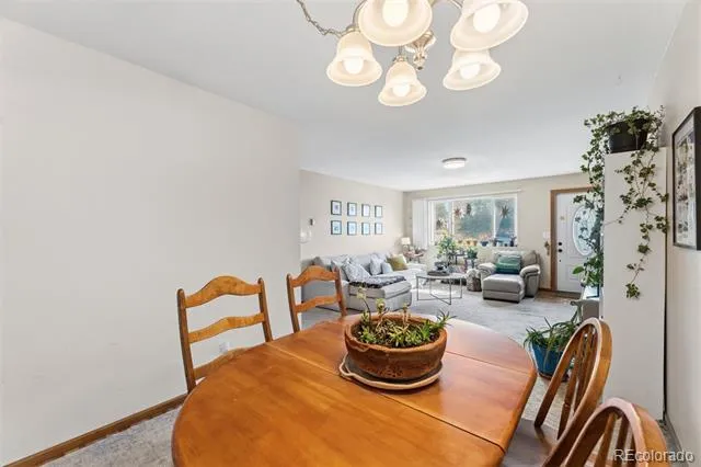101 S Maple Street Leadville, CO 80461