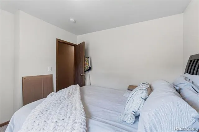 101 S Maple Street Leadville, CO 80461