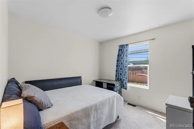 101 S Maple Street Leadville, CO 80461