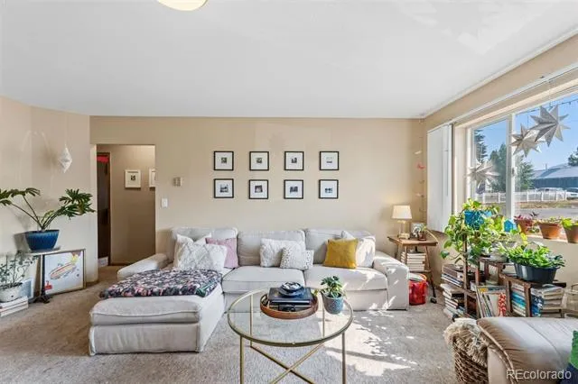 101 S Maple Street Leadville, CO 80461