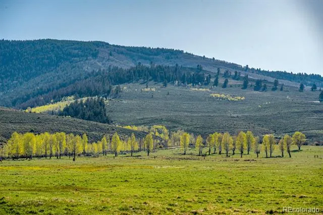 623 County Road 813 Almont, CO 81210