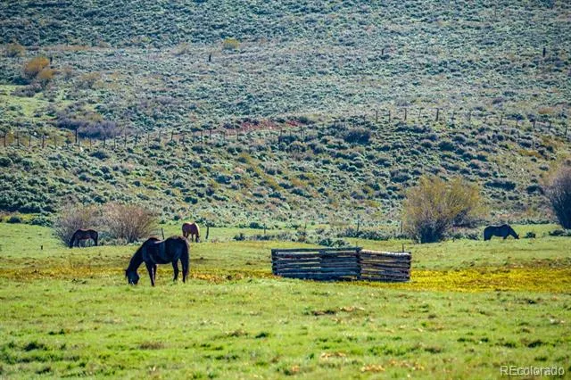 623 County Road 813 Almont, CO 81210