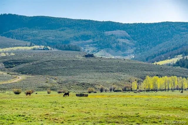 623 County Road 813 Almont, CO 81210