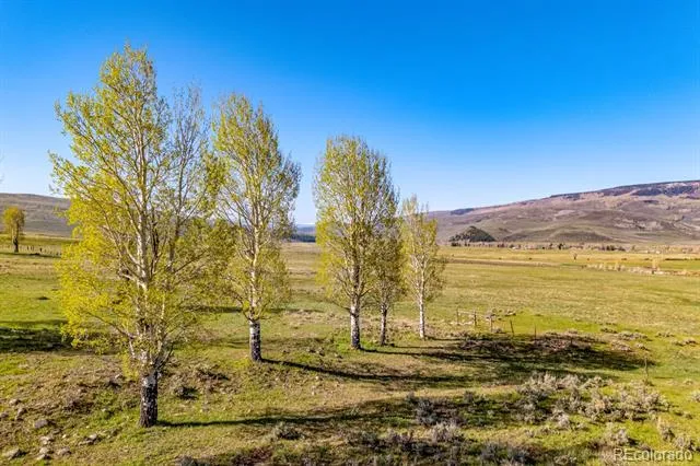 623 County Road 813 Almont, CO 81210