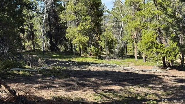 005 Church Placer Road Central City, CO 80427