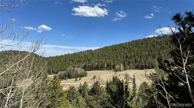 005 Church Placer Road Central City, CO 80427