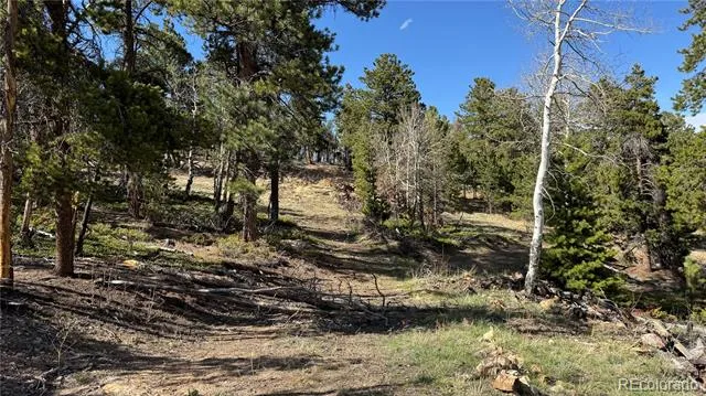 005 Church Placer Road Central City, CO 80427