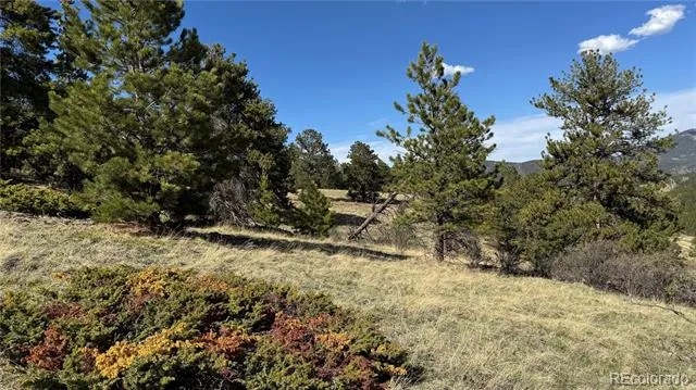 005 Church Placer Road Central City, CO 80427