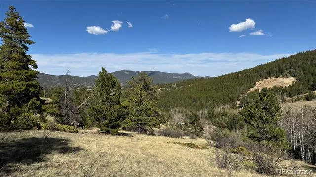 005 Church Placer Road Central City, CO 80427