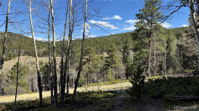 005 Church Placer Road Central City, CO 80427
