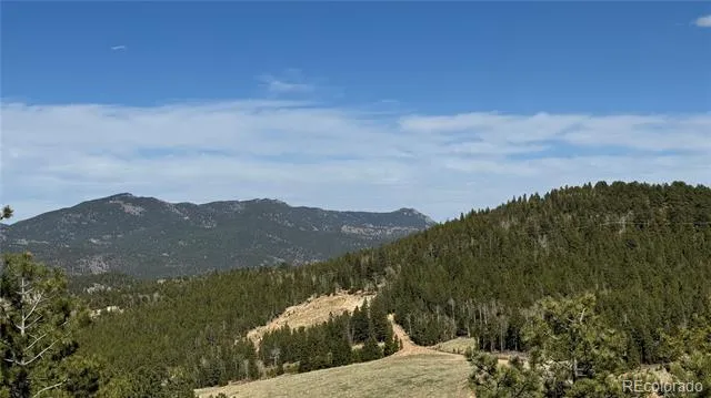 005 Church Placer Road Central City, CO 80427