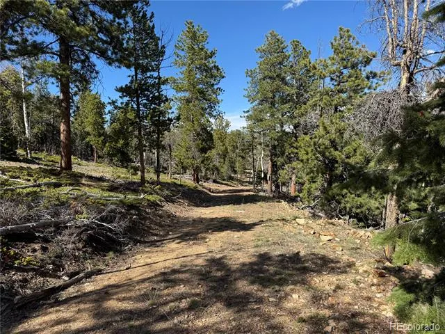 005 Church Placer Road Central City, CO 80427