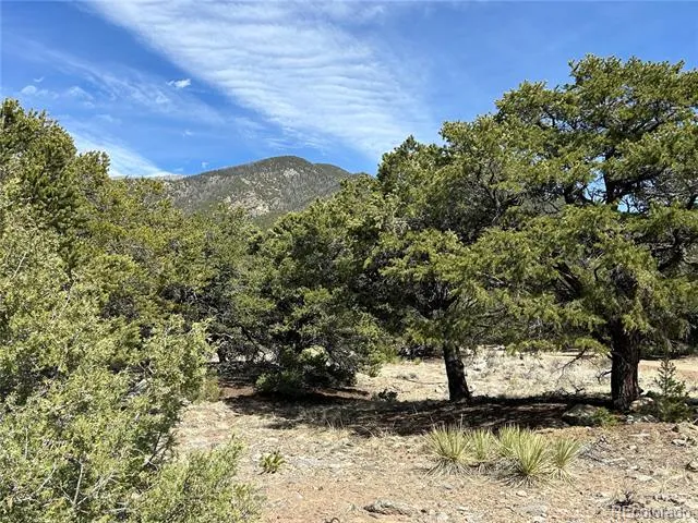 3545 Fallen Tree Place Crestone, CO 81131