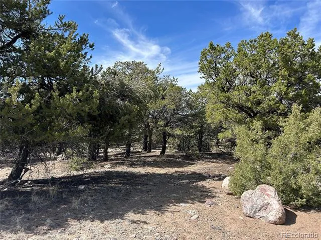 3545 Fallen Tree Place Crestone, CO 81131
