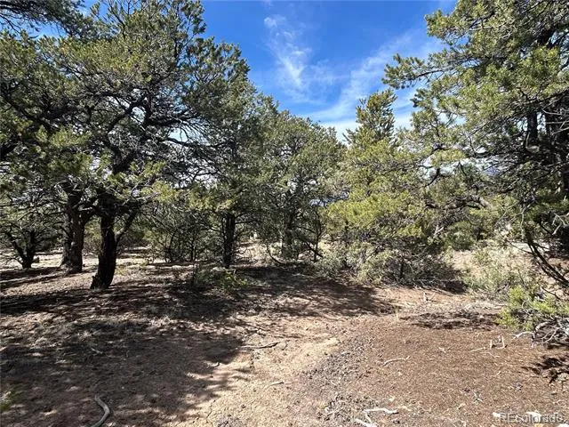 3545 Fallen Tree Place Crestone, CO 81131