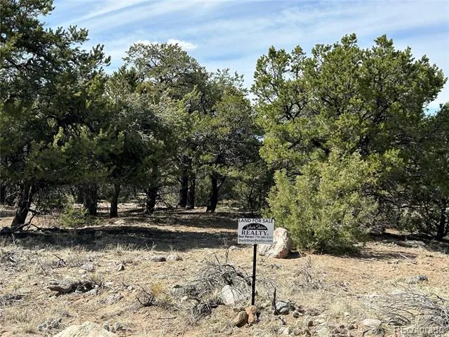 3545 Fallen Tree Place Crestone, CO 81131